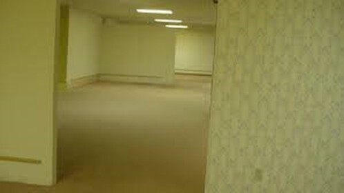 Operation Kill all the entities in the backrooms