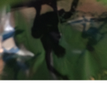 [ Content Deleted 3097938 ]