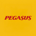 Pegasus Airlines In Roblox