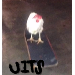 u1ts