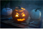 Pumpkin defenders
