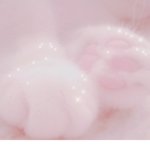 She store