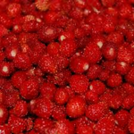 Redberries