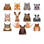 Animal Support Club