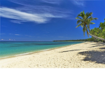 The Tropical Place