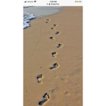 Footprint friends