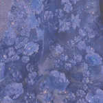 CRYSTALLISED
