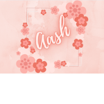 Aash Squad