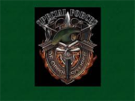 the elite commando's