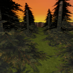 the hunting forest!