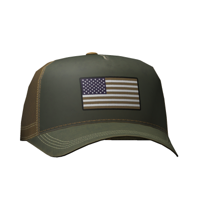 Backwards US Cap Roblox item