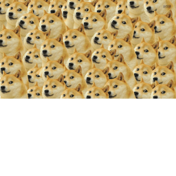 doge game