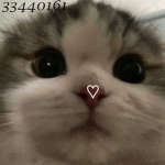 item buyer de ash :3
