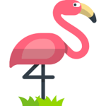 The 2nd Flamingo Fan Club