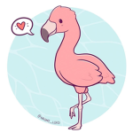Flamingos <3