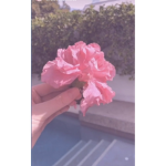 Adorsxasthetic
