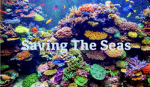 Saving The Seas