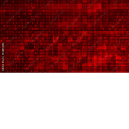 THE DANGER