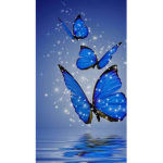 ~aesthetics BUTTERFLYs~