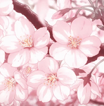 pinkcult