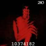 2IO