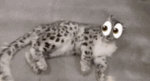 Snowy Sneps