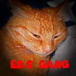ed's gang