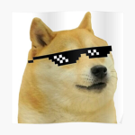 DOGE KINGDOM UNITED'