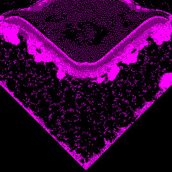 observant