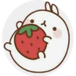The Strawberri Squad