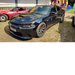 spocone korniszony