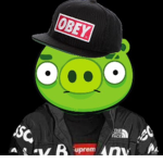 Piggy drip