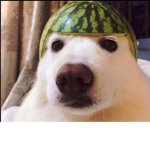 Tharooy