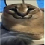 donations to drip o_O