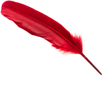 the red feathers family