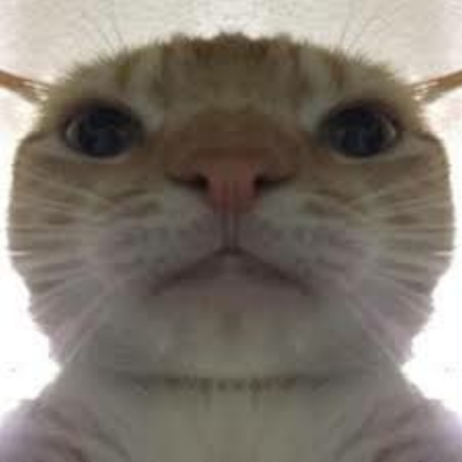 Cool Cat Sky