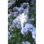 pixie fairies