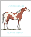 •White Reign Stables•