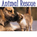 Animal Help Organizations