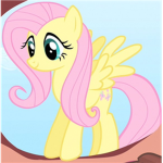 Fluttershy Fans