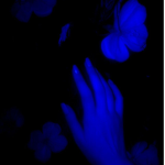 ღ $imple ღ