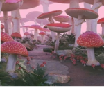 Mochi.-.frogs