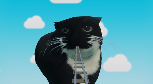 🐈 Cart Ride Into A Cat!