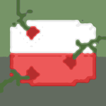 The Polish Company'