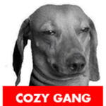Cozy Gang
