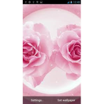 ROSAS