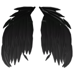 Dark Black Angel Wings