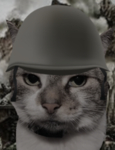 EnIisted