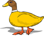 Cave Ducks