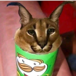 S0ggy Pringles